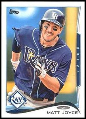 14TM 85 Matt Joyce.jpg